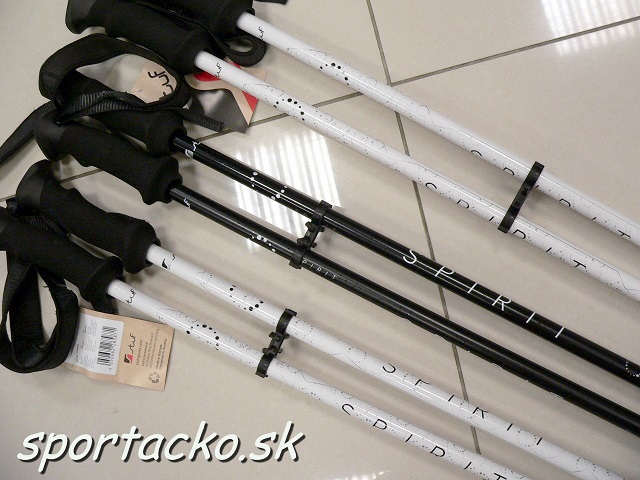 Dámske lyžiarske palice Skistock Spirit Ergo
