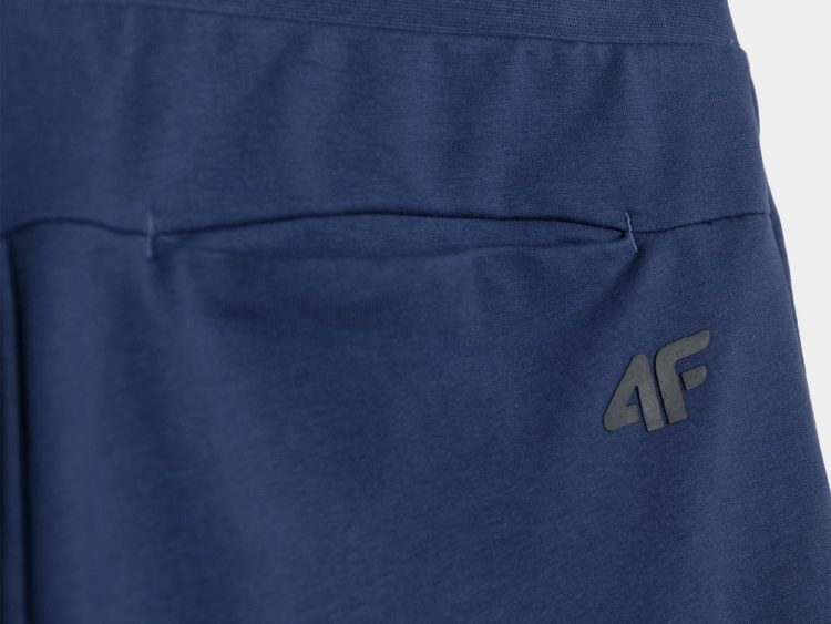 Pánske športové teplákové nohavice 4F Sportstyle Brand Code