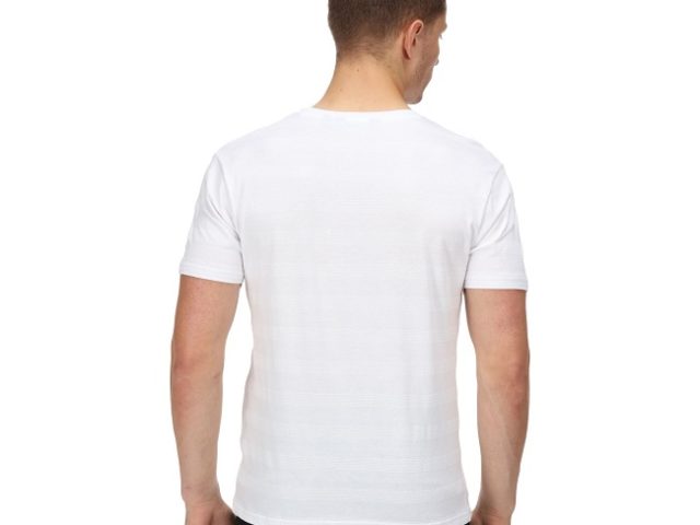 Pánske bavlnené tričko Regatta Prestyn RMT261