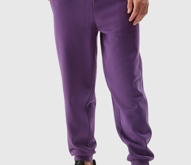 Pánske teplákové jogger nohavice TTROM466 purple